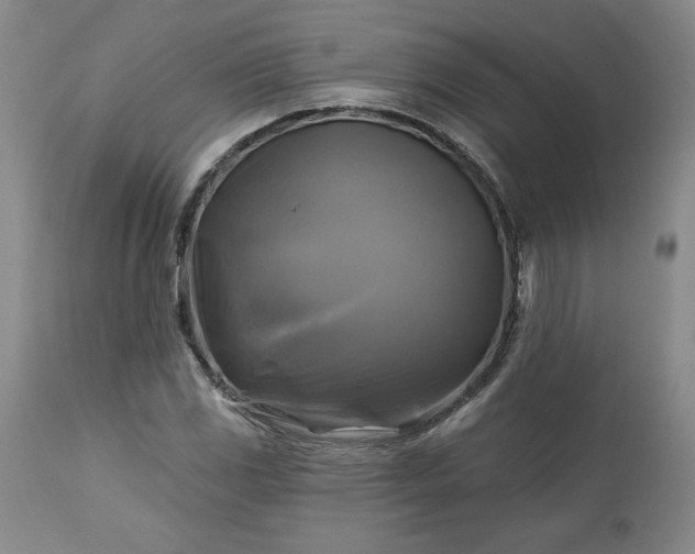 X0000113341117200909291023