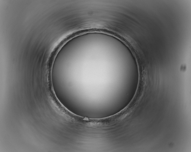 X0000113341118200909291023