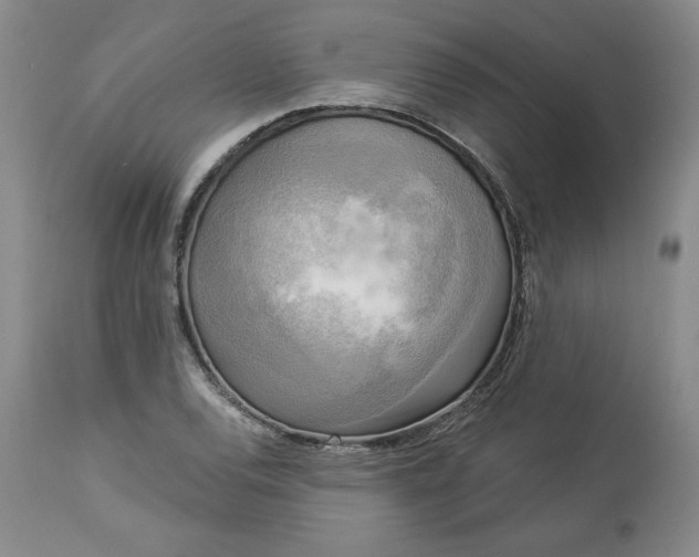 X0000113341120200909291023