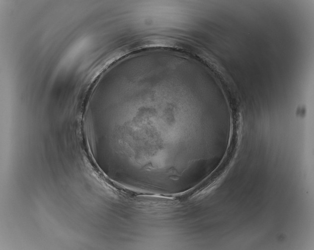 X0000113341121200909291023