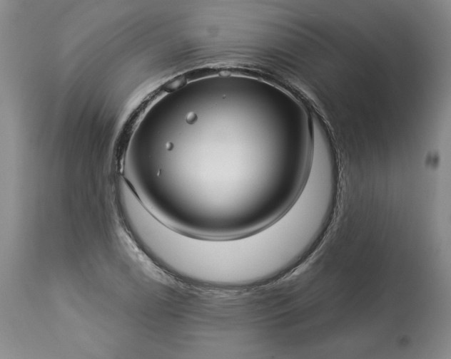 X0000113341122200909291023