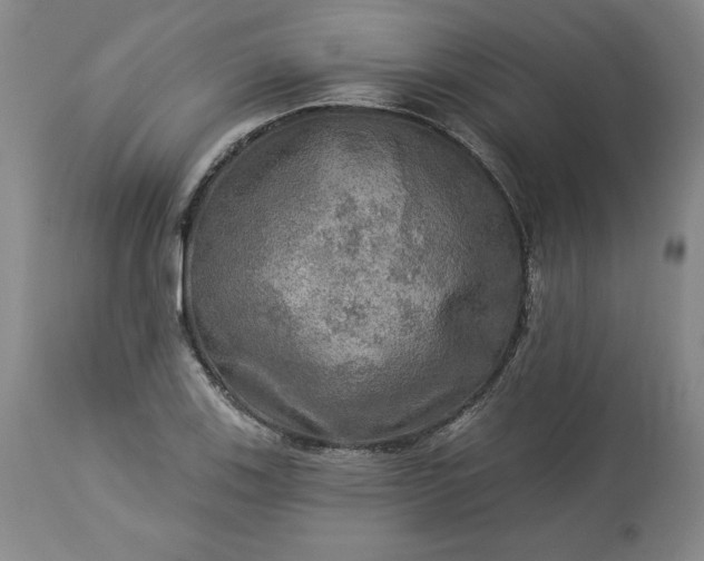 X0000113341123200909291023