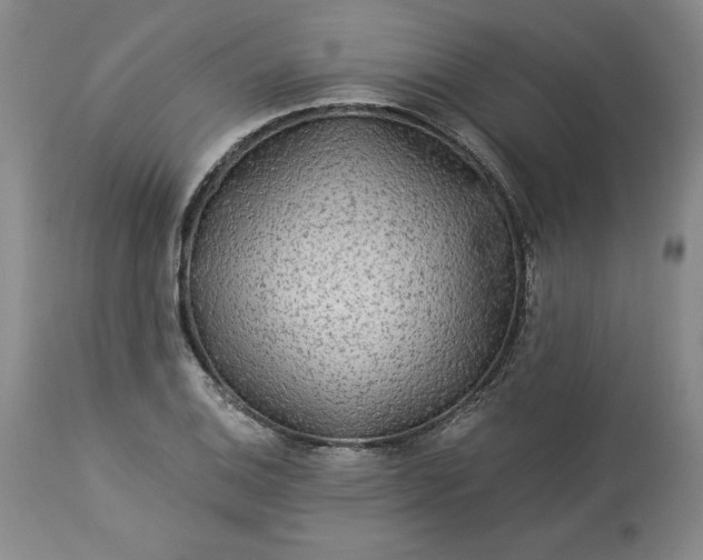 X0000113341124200909291023