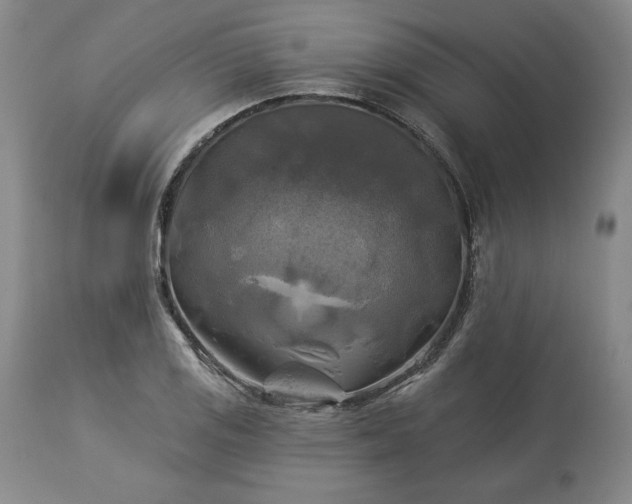 X0000113341125200909291023