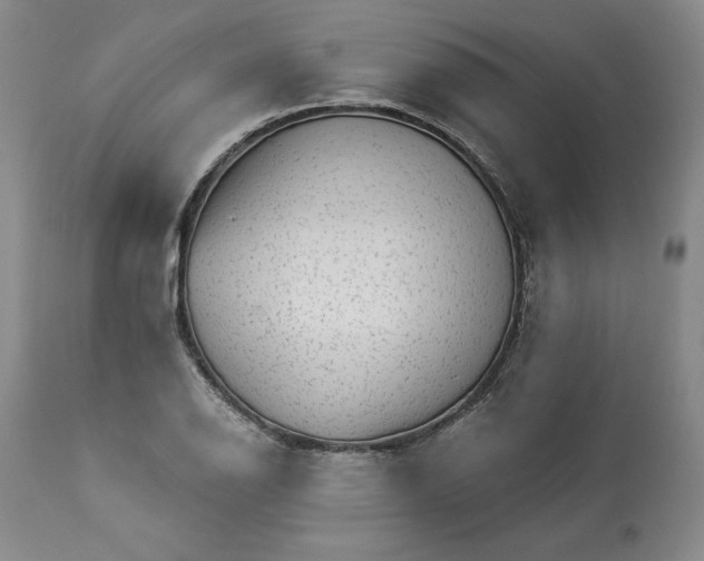 X0000113341126200909291023