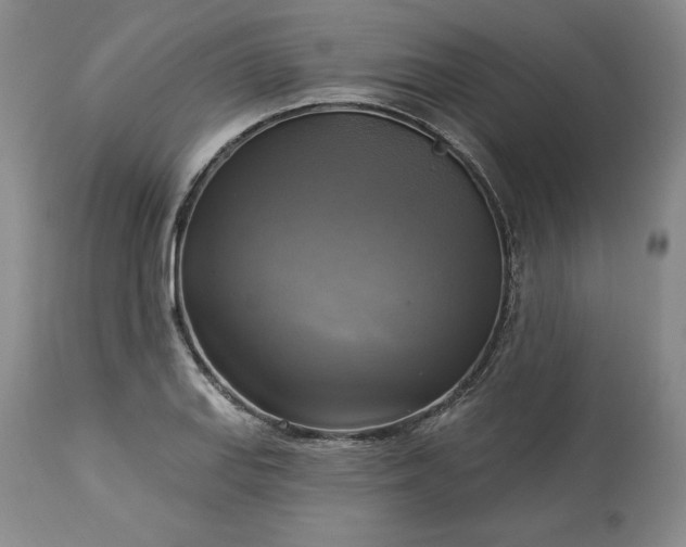 X0000113341127200909291023