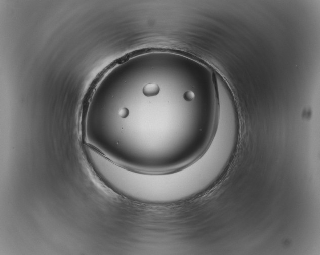 X0000113341128200909291023