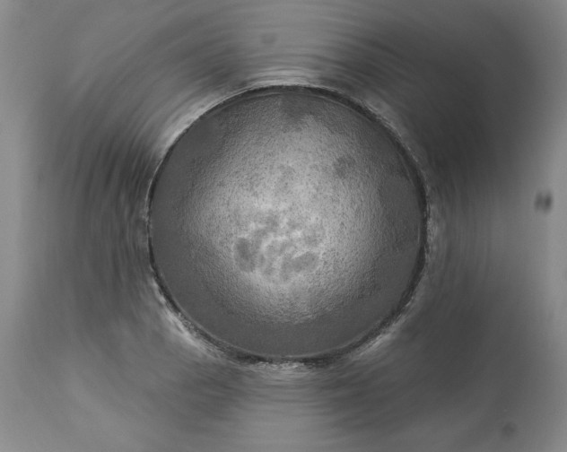 X0000113341129200909291023