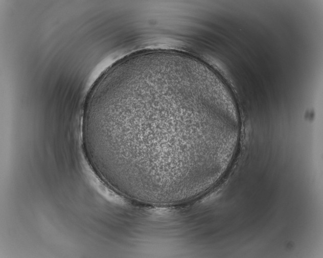 X0000113341130200909291023