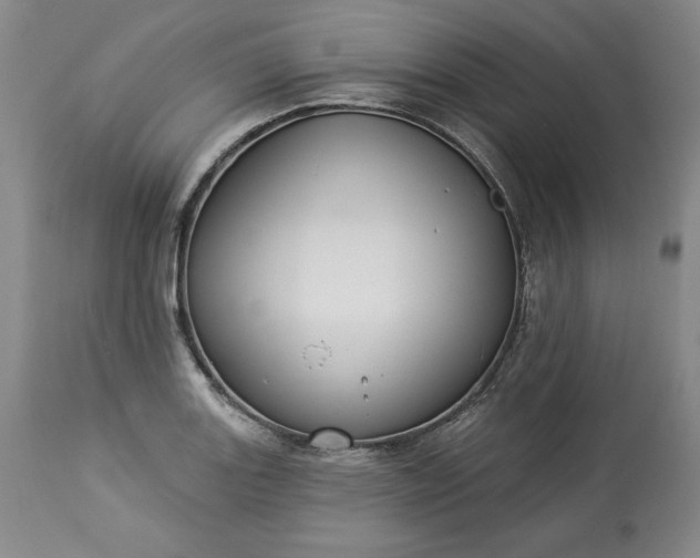 X0000113341131200909291023