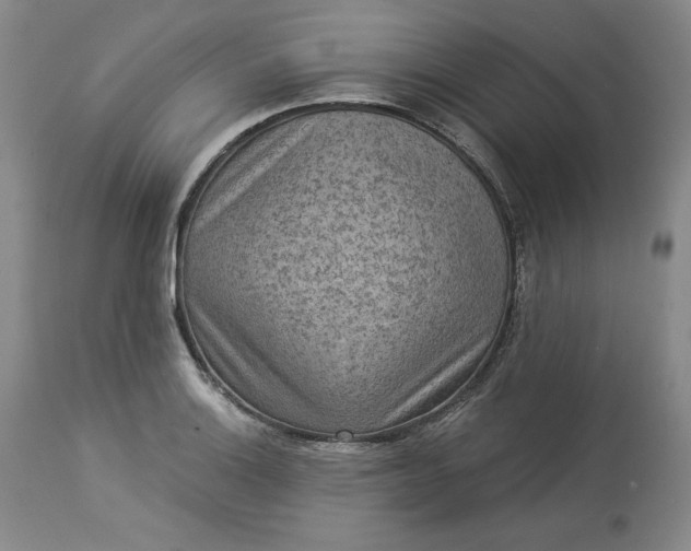 X0000113341132200909291023