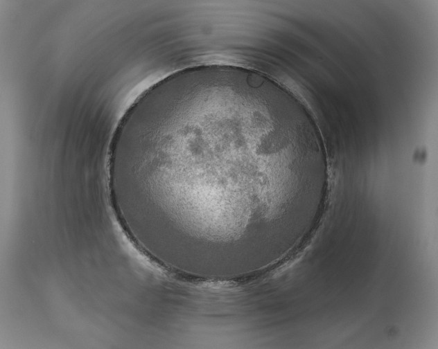 X0000113341133200909291023