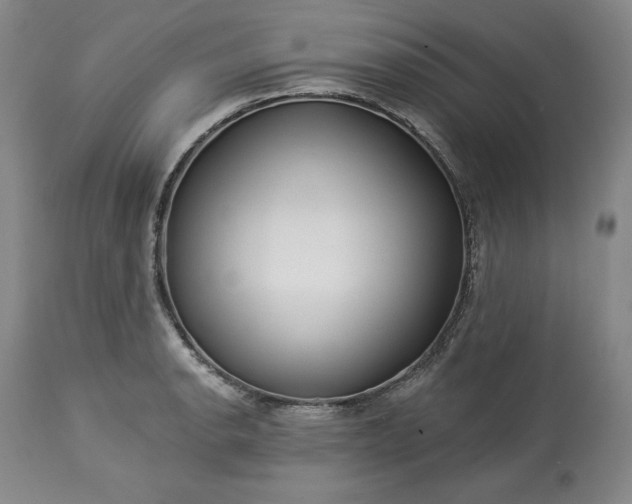 X0000113341134200909291023