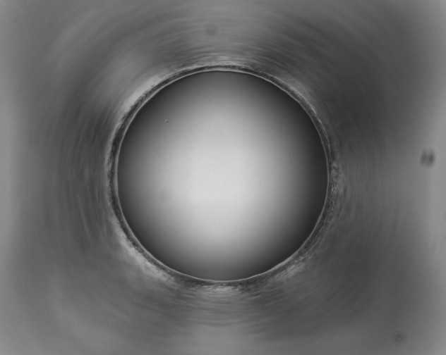 X0000113341135200909291023