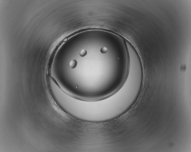 X0000113341136200909291023