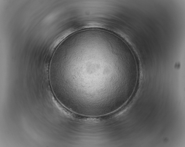 X0000113341137200909291024