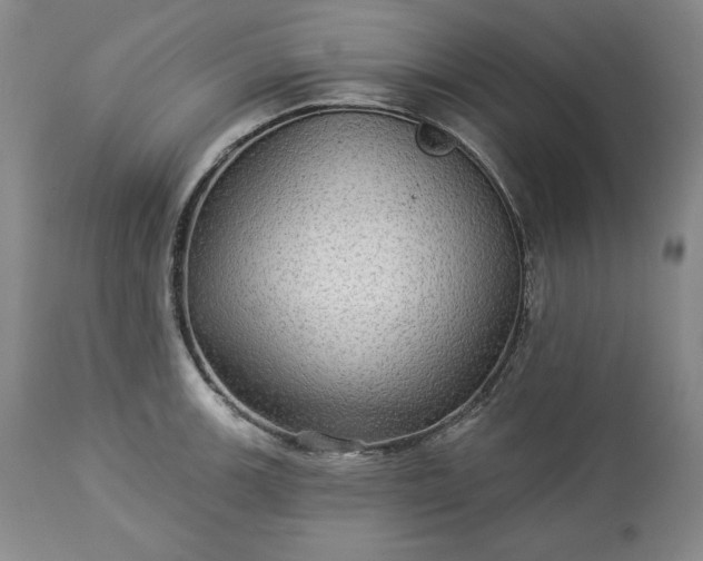 X0000113341139200909291024