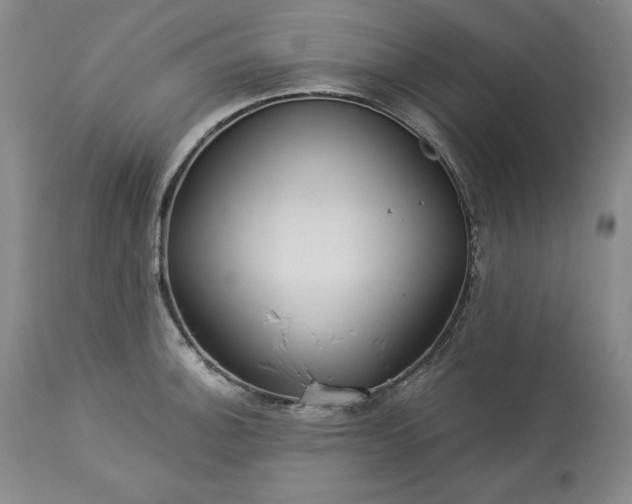 X0000113341140200909291024