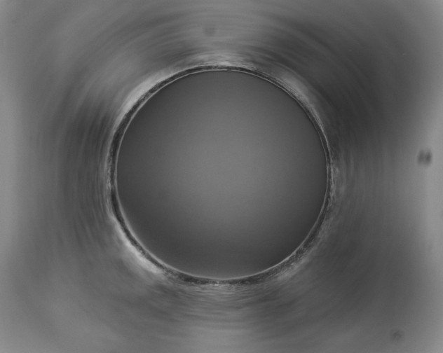 X0000113341141200909291024