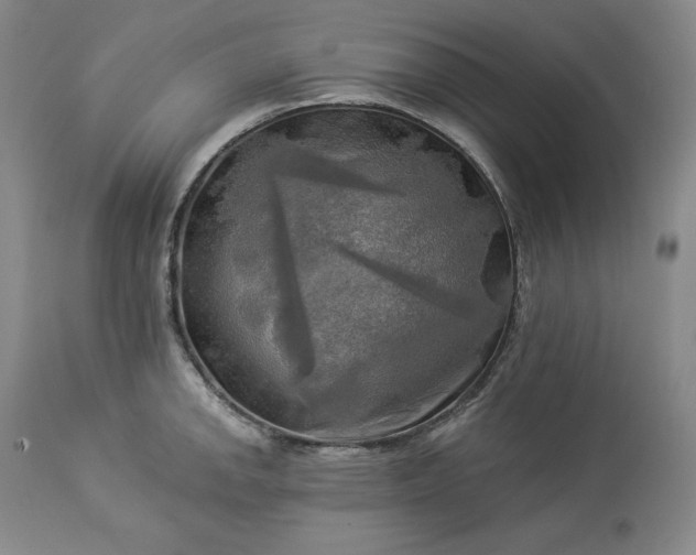 X0000113341142200909291024