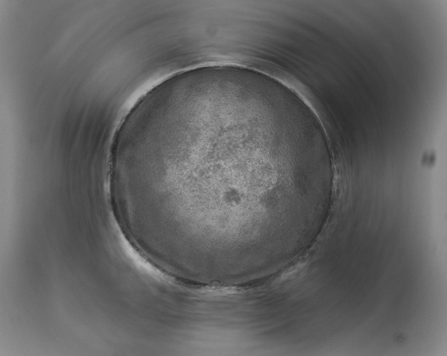 X0000113341143200909291024