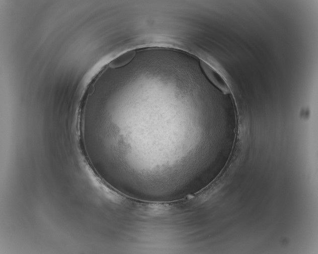 X0000113341144200909291024