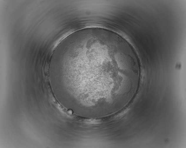 X0000113341145200909291024