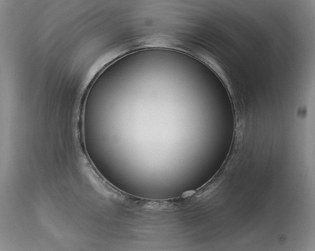 X0000113341146200909291024