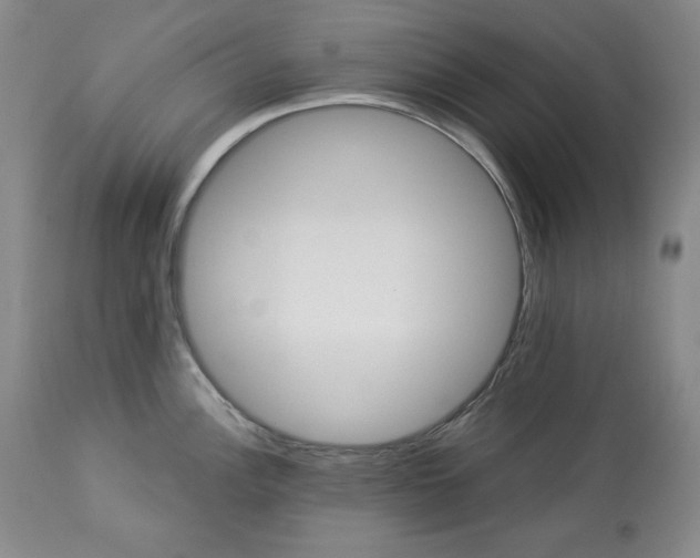 X0000113341148200909291024