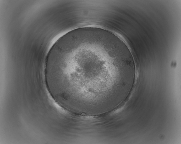 X0000113341149200909291024