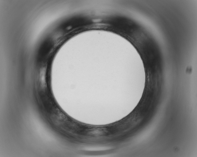 X0000113341150200909291024