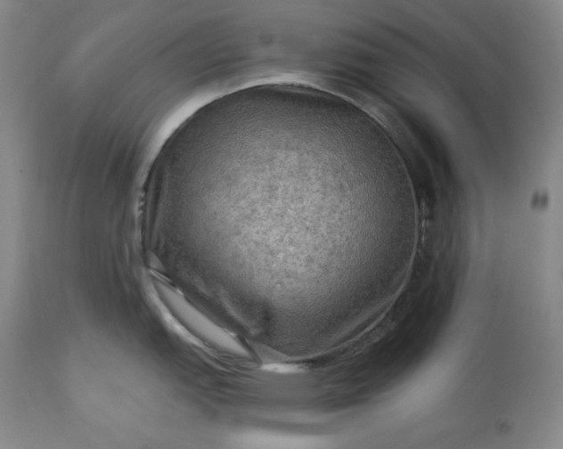 X0000113341151200909291024