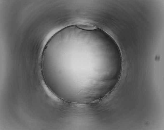 X0000113341152200909291024