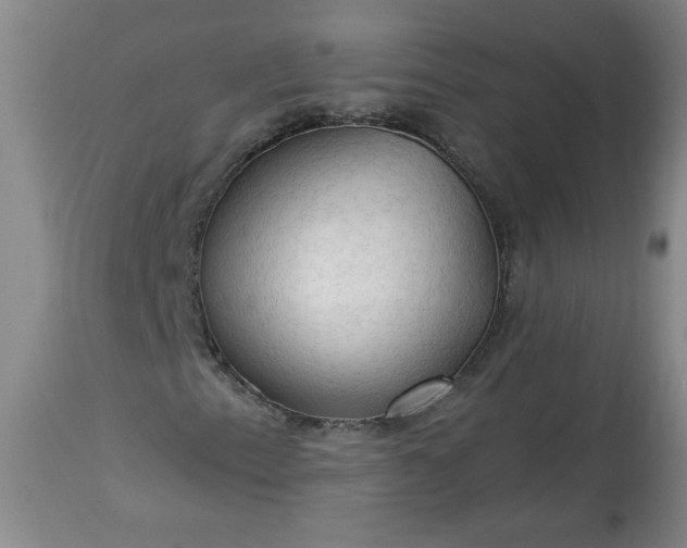 X0000113341153200909291023