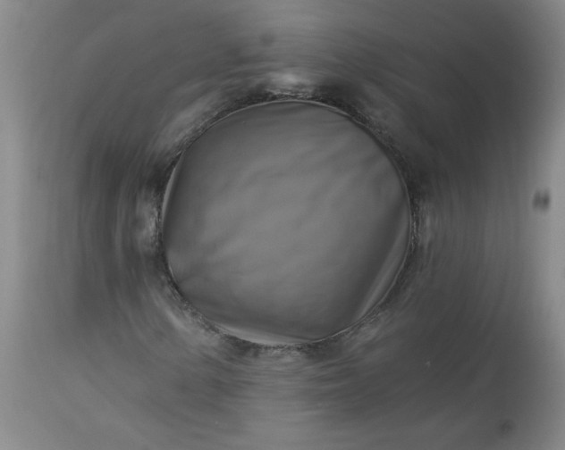 X0000113341154200909291023