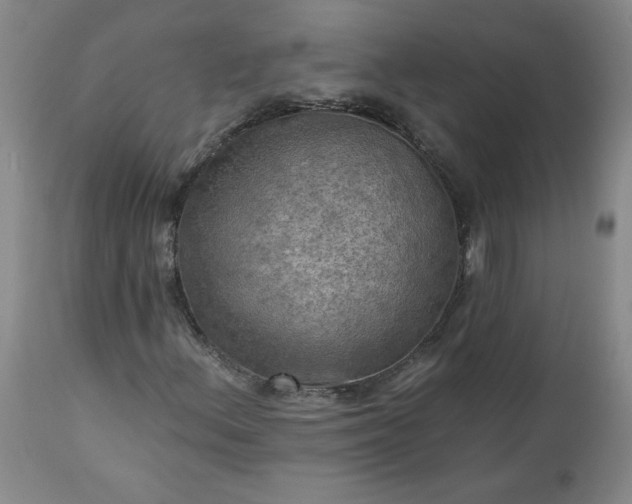 X0000113341156200909291023