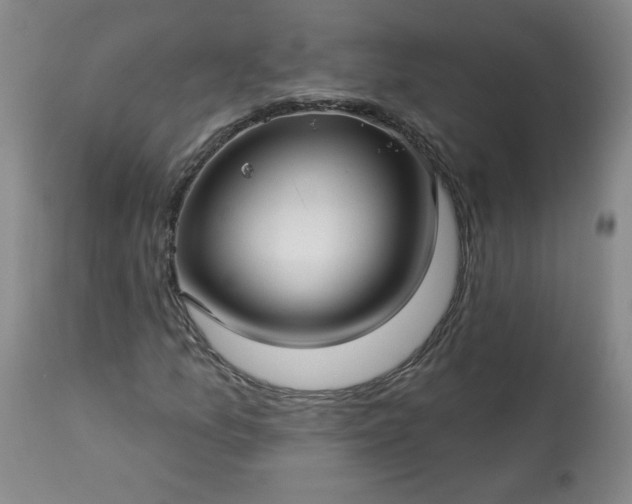 X0000113341157200909291023