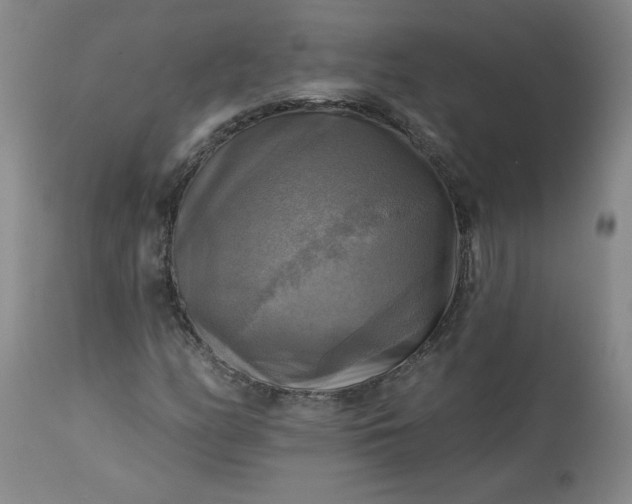 X0000113341158200909291023