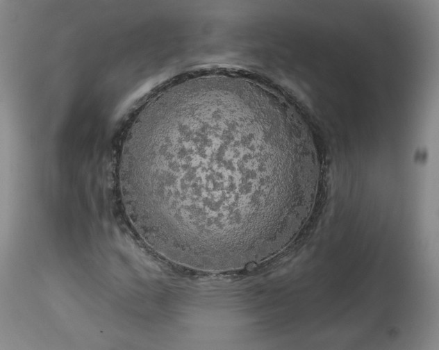 X0000113341159200909291023