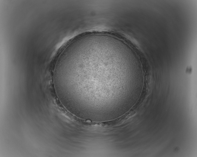 X0000113341160200909291023