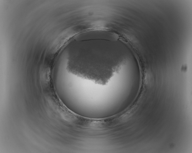 X0000113341161200909291023