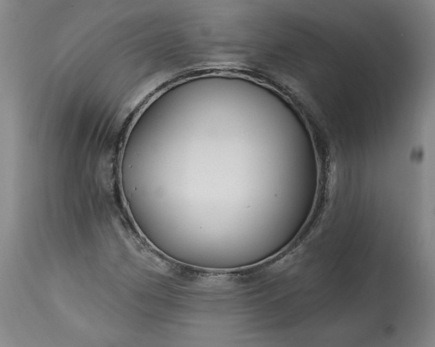 X0000113341162200909291023