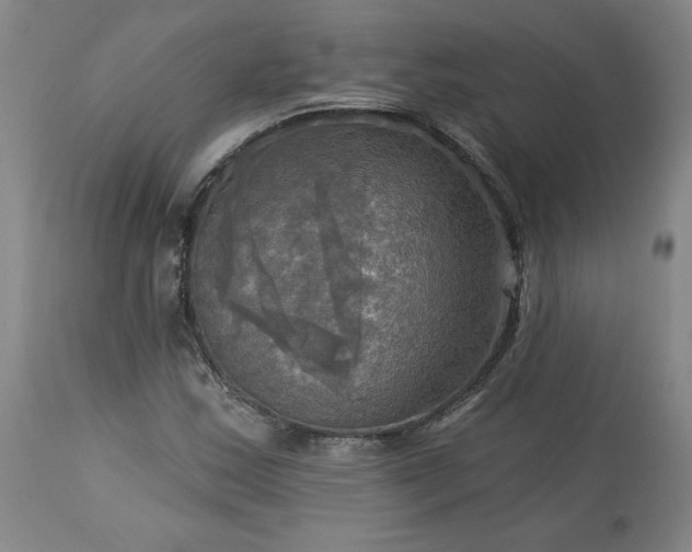 X0000113341163200909291023