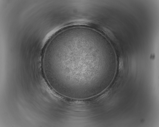 X0000113341164200909291023