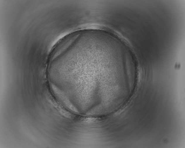 X0000113341166200909291023