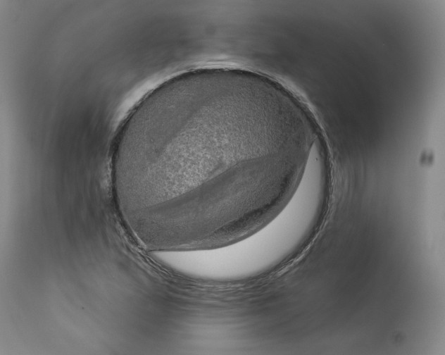 X0000113341167200909291023