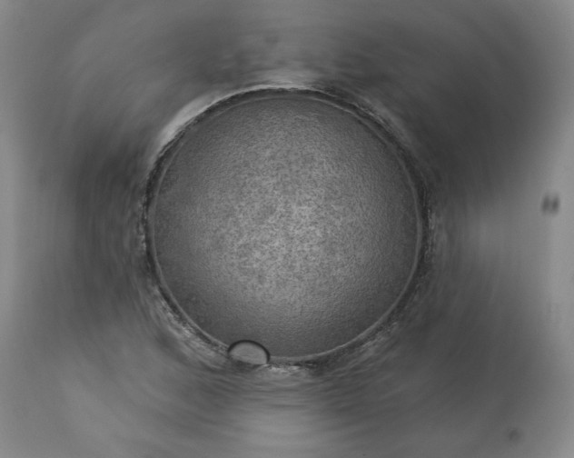 X0000113341168200909291023