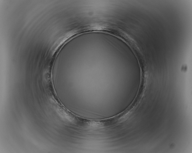 X0000113341170200909291023