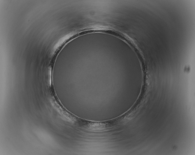 X0000113341171200909291023