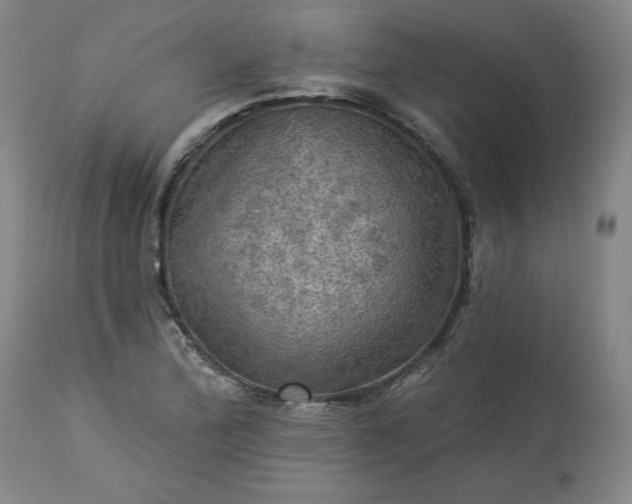 X0000113341172200909291023